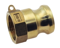 Vale® Brass Type A Plug BSPP